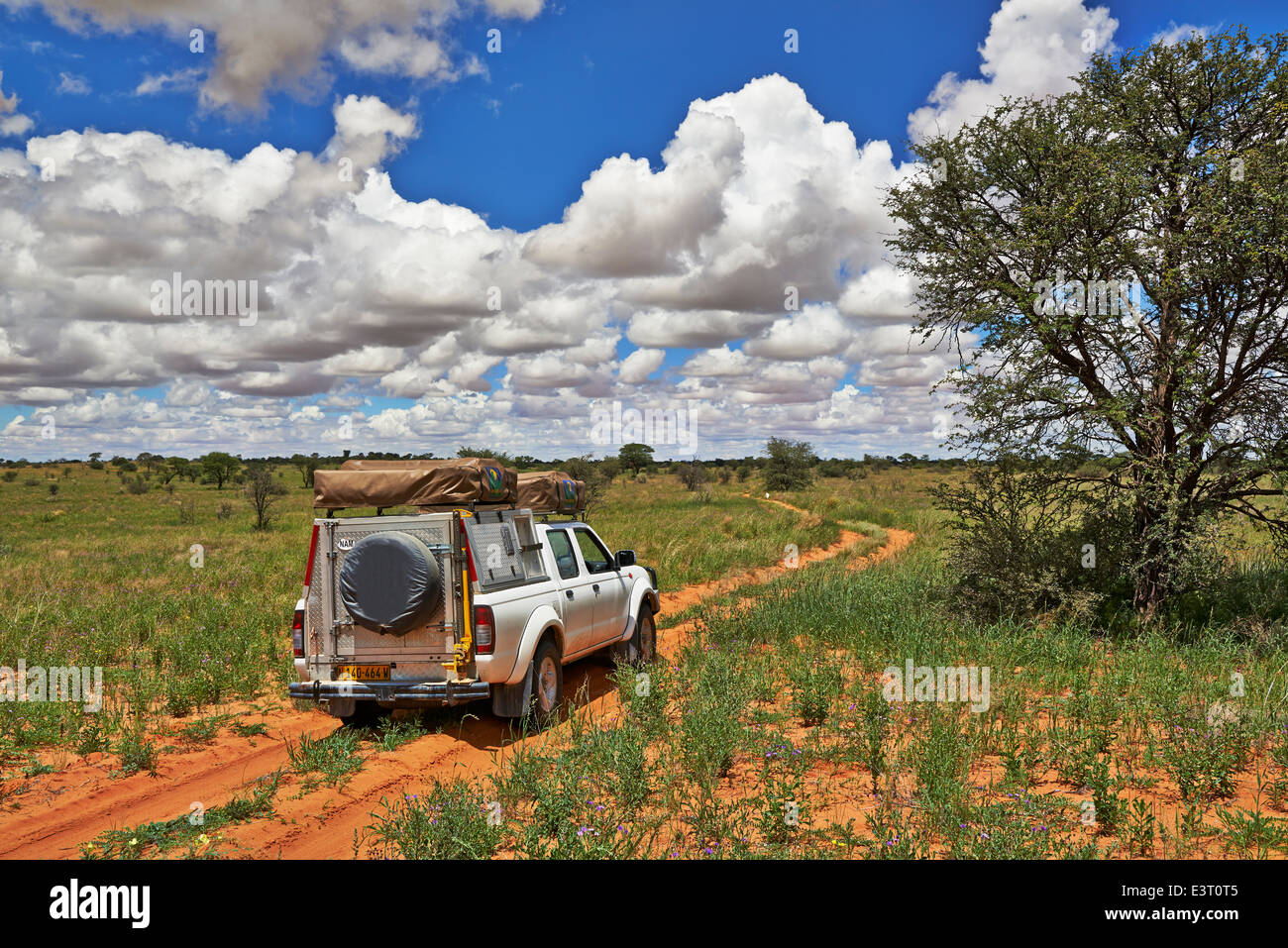4 x 4 Geländewagen in Landschaft der Kgalagadi Transfrontier Park, Kalahari, Südafrika, Botswana, Afrika Stockfoto