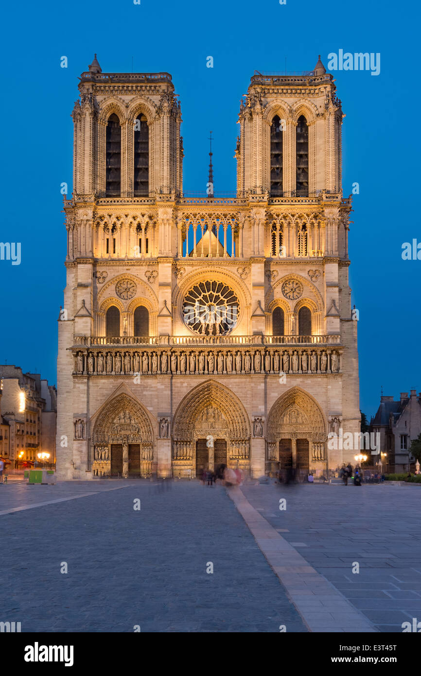 Notre Dame de Paris Kathedrale-Nachtansicht Stockfoto