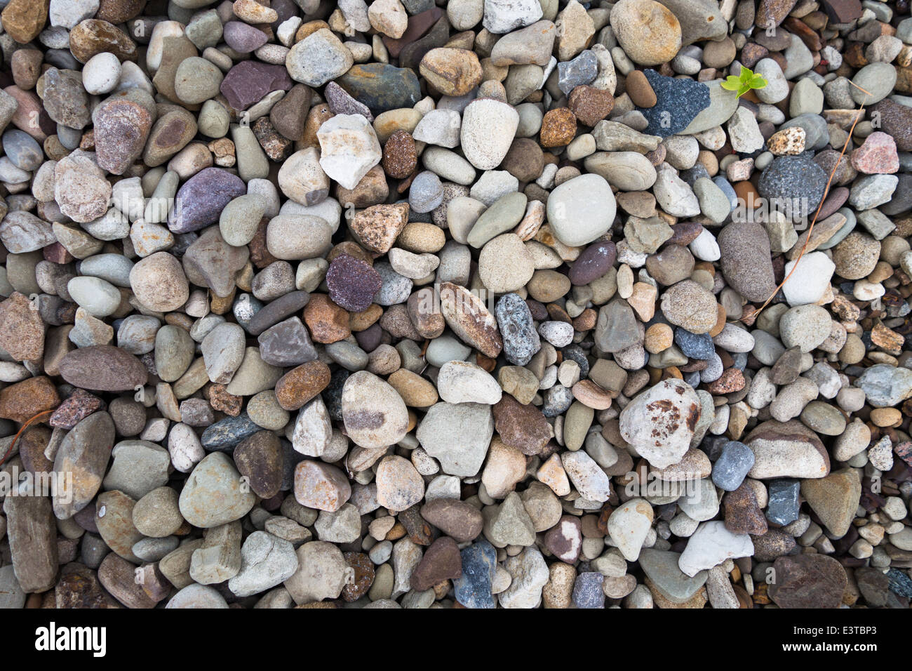 Viele glatten Steinen und Kieselsteinen in verschiedenen Farben, Formen und Größen Stockfoto