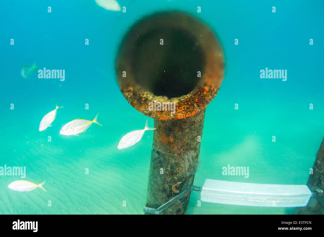 Sole-Druckleitung und Vent aus einer Meerwasserentsalzungsanlage Stockfoto