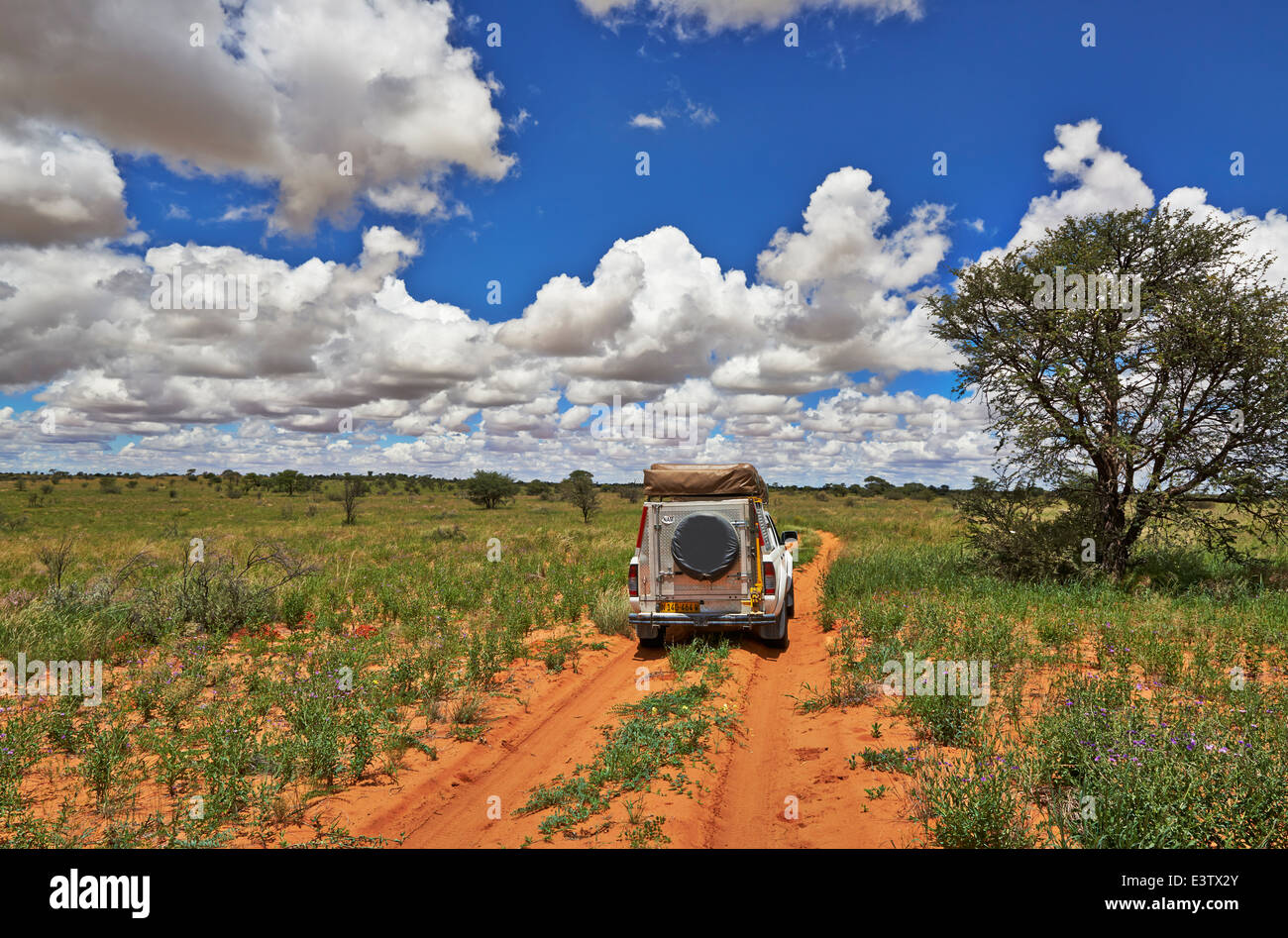4 x 4 Geländewagen in Landschaft der Kgalagadi Transfrontier Park, Kalahari, Südafrika, Botswana, Afrika Stockfoto