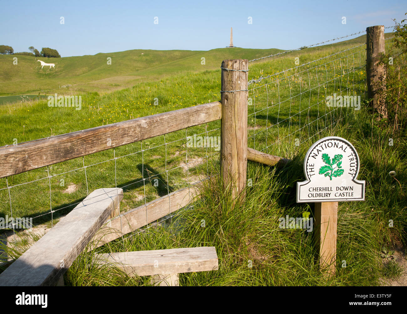 National Trust Zeichen Cherhill Down und Oldbury Castle mit Lansdowne Monument sichtbar, Cherhill, Wiltshire, England Stockfoto