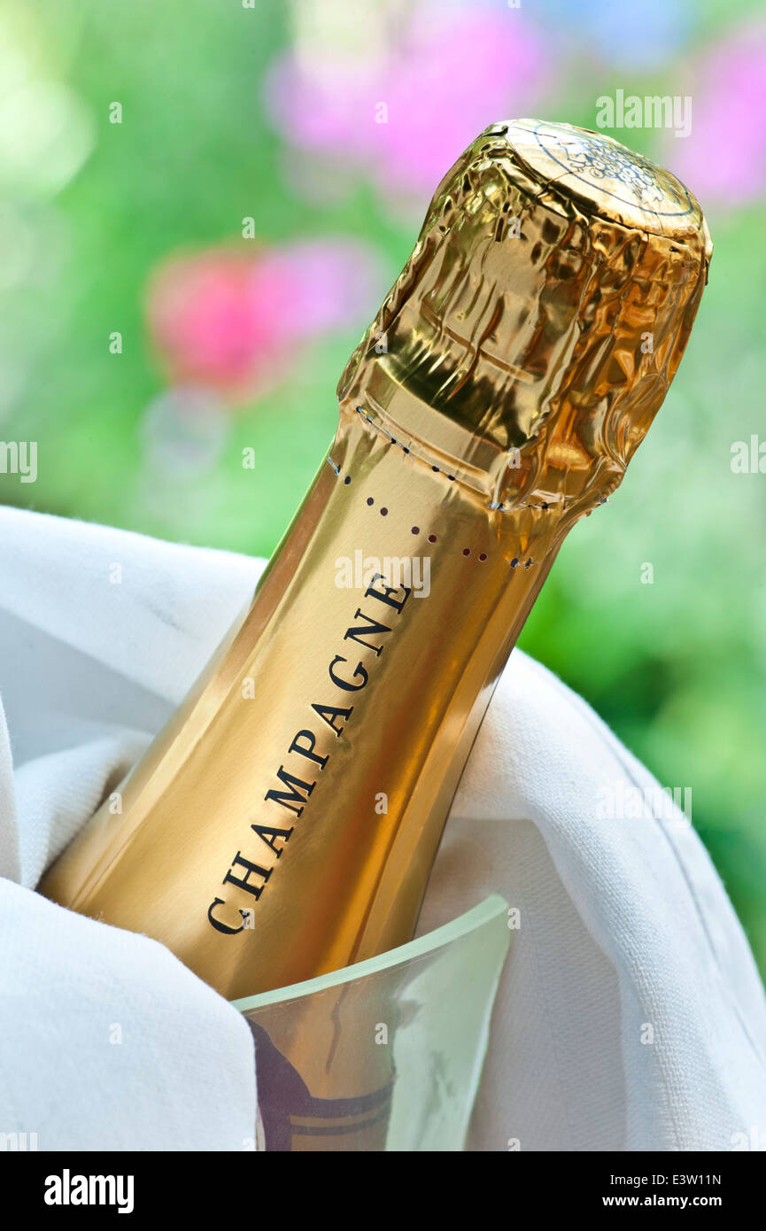 Champagner-Flasche im Weinkühler im Freien im Luxusgarten Sommerevent Situation Stockfoto