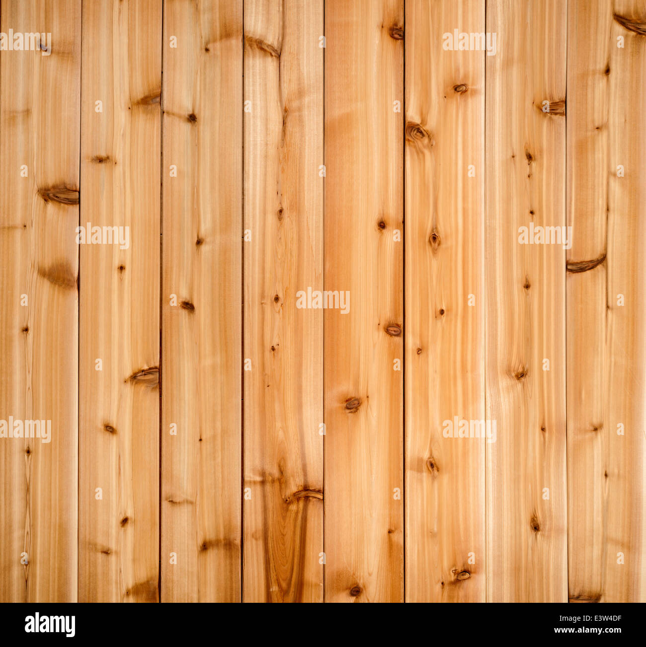 Hintergrund der hölzernen rote Zeder Planken mit Woodgrain-Struktur Stockfoto