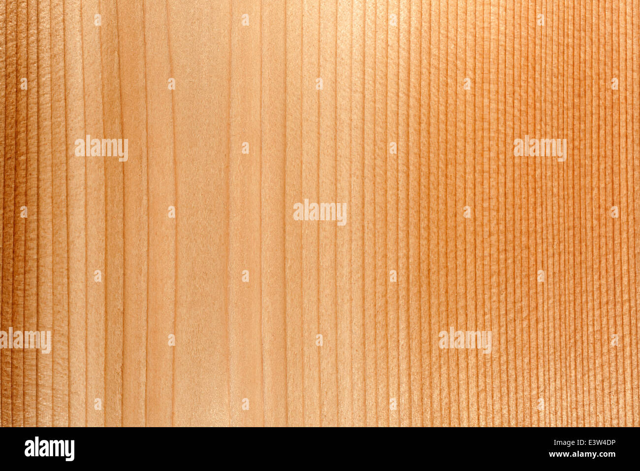 Makro Nahaufnahme von natürlichen Rotzeder Holzbohle Woodgrain Struktur Stockfoto