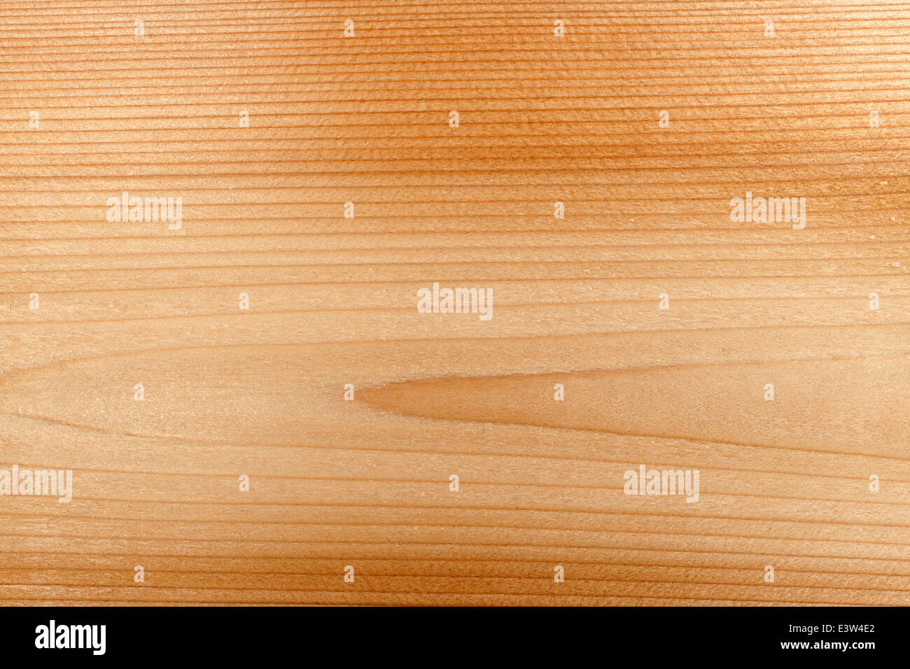 Makro Nahaufnahme von natürlichen Rotzeder Holzbohle Woodgrain Struktur Stockfoto