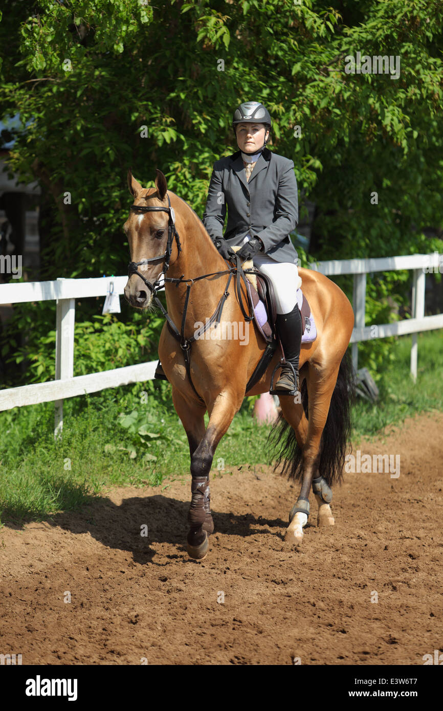 Junge Frau reitet "gold" Achal-Tekkiner Pferde Stockfoto