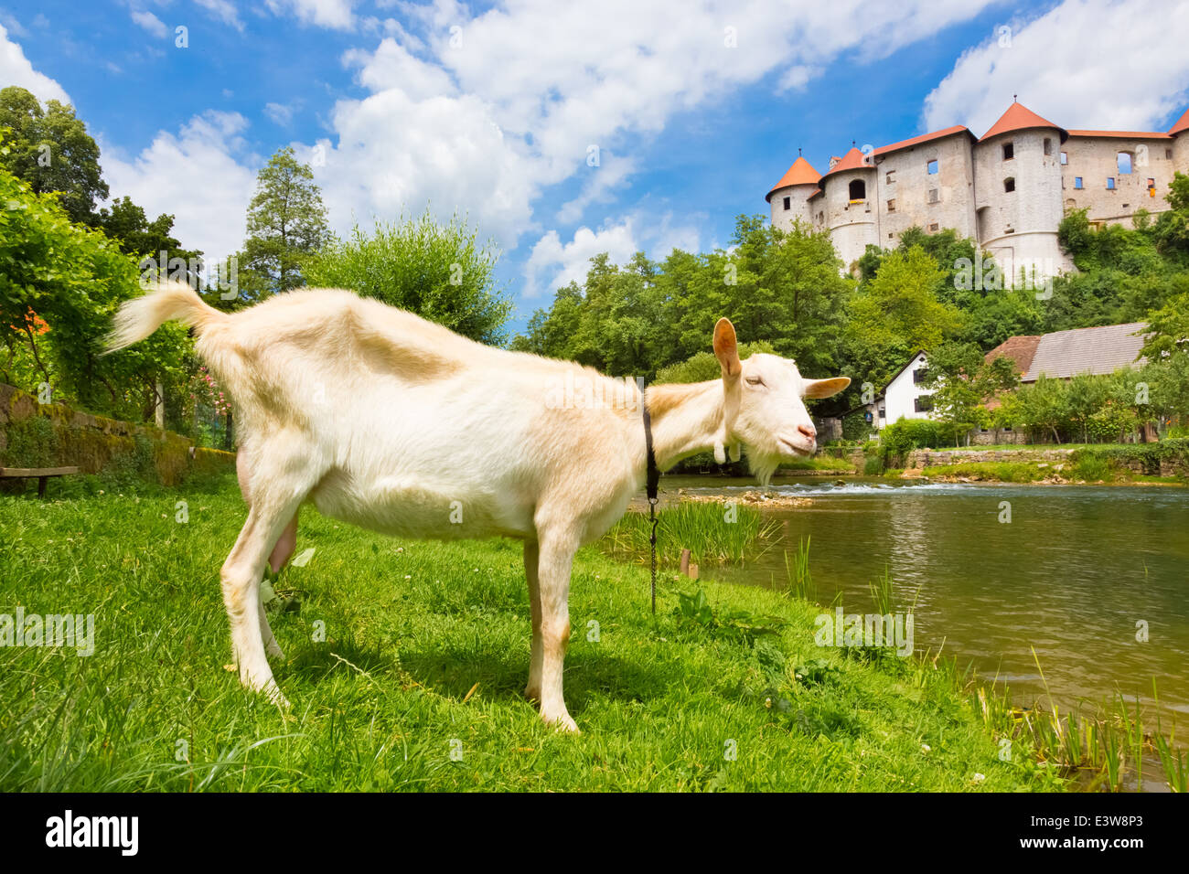 Zuzemberk Burg, Slowenisch touristische Destination. Stockfoto