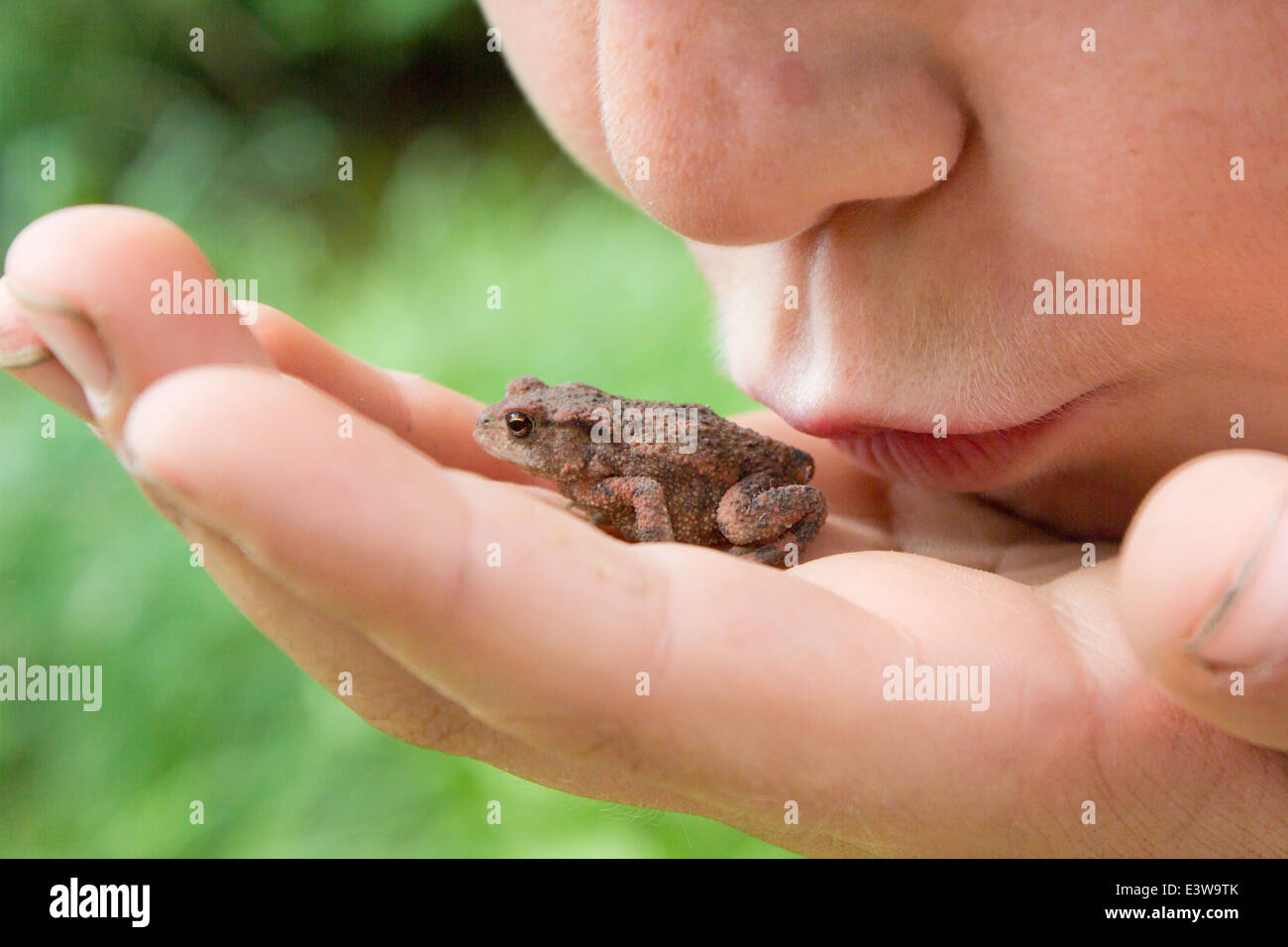 Kind einen Frosch küssen Stockfoto