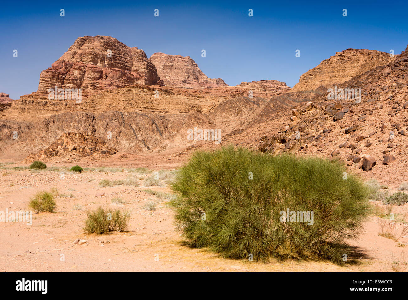 Jordan, Wadi Rum, Wüste Felsen ausgehöhlt Stockfoto