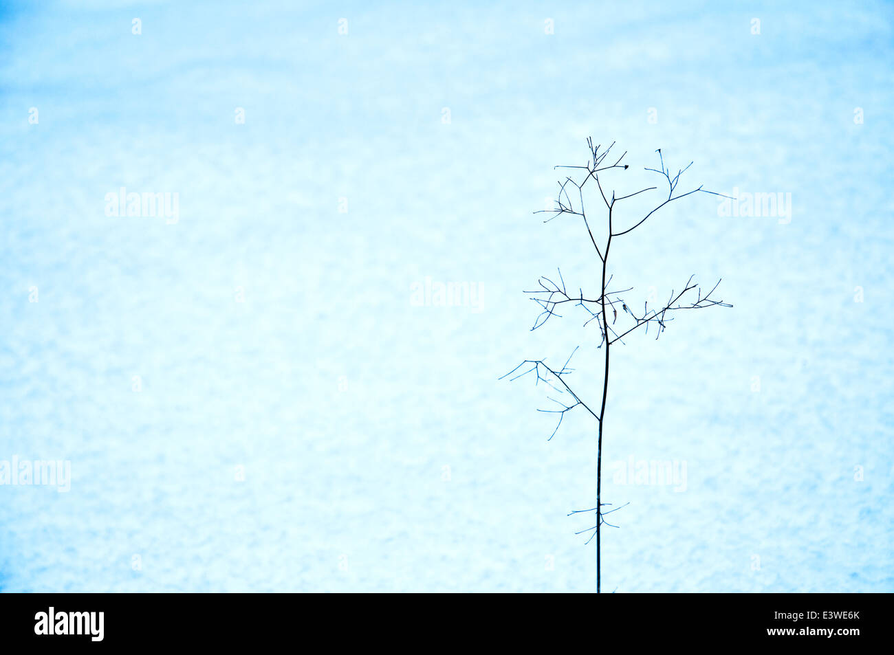 WInter-Eindruck Stockfoto