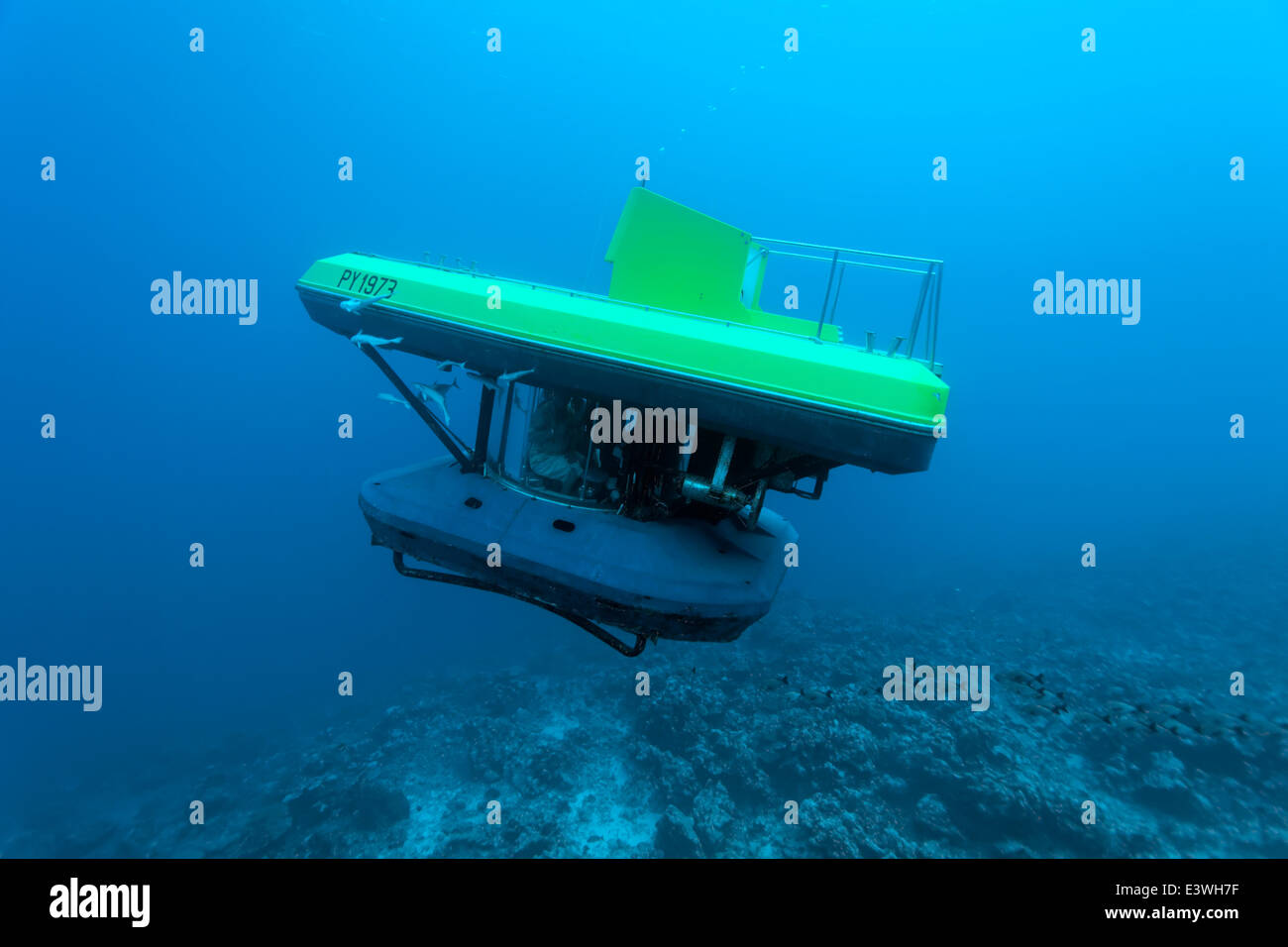 U-Boot mit Touristen, Tauchgang ein coral reef, Bora Bora, Leeward-Inseln, Gesellschaftsinseln, Französisch-Polynesien, Frankreich Stockfoto