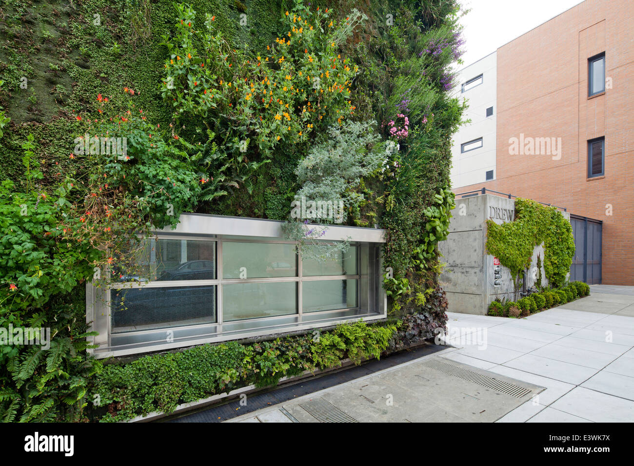Vertical Garden an Außenwand an Drew School, San Francisco, Kalifornien, USA Stockfoto