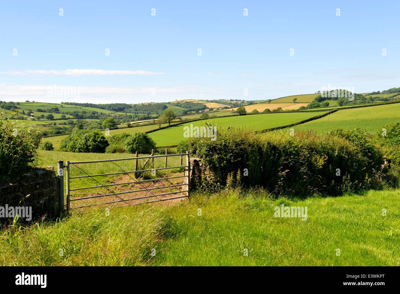 Wales-Landschaft, Hof und Felder, Carmarthenshire, Wales, UK Stockfoto