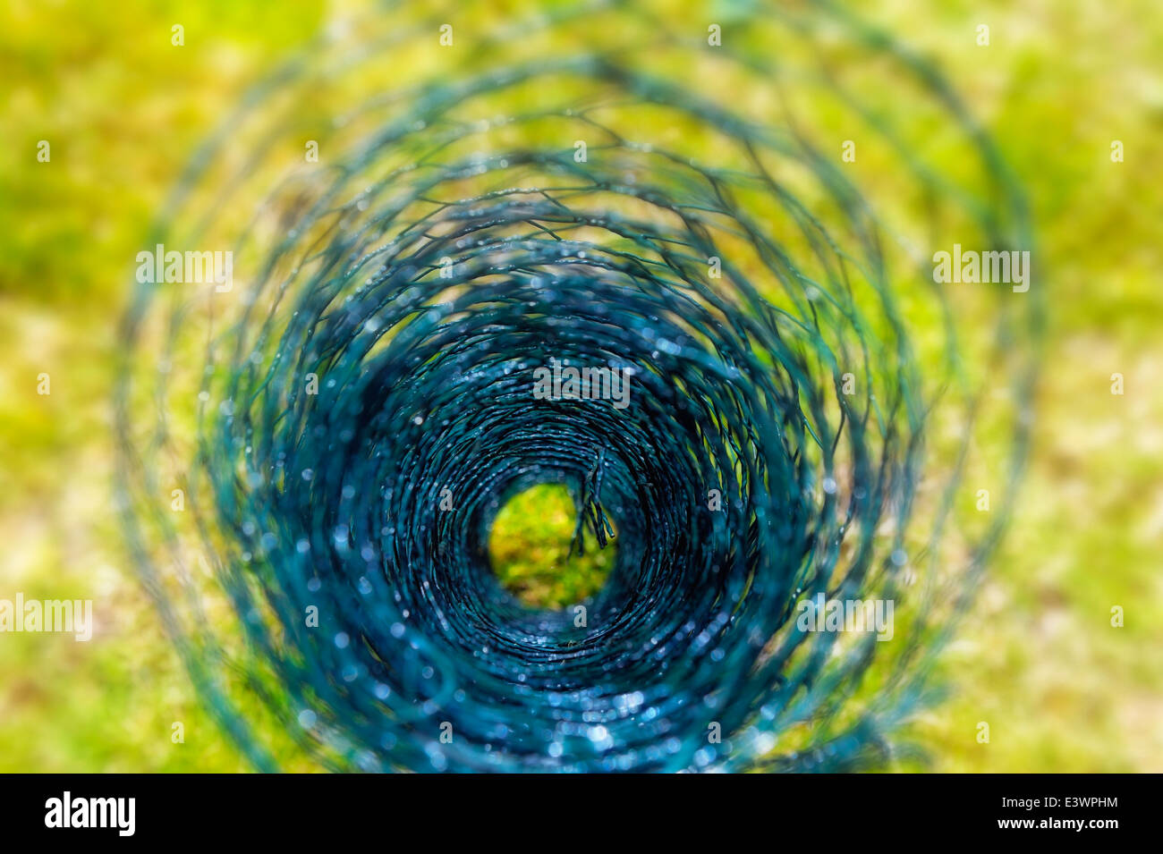 Eine Rolle Maschendraht grün Huhn Nahaufnahme abstrakt Stockfoto