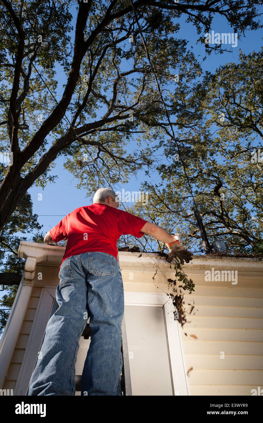 Reifer Mann Reinigung Haus Dachrinnen, USA Stockfoto