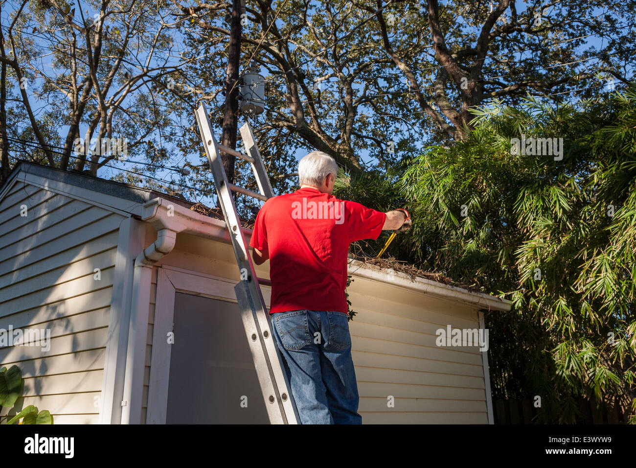 Reifer Mann Reinigung Haus Dachrinnen, USA Stockfoto
