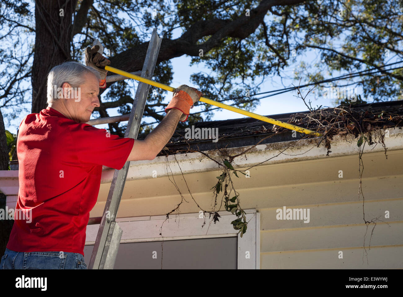 Reifer Mann Reinigung Haus Dachrinnen, USA Stockfoto