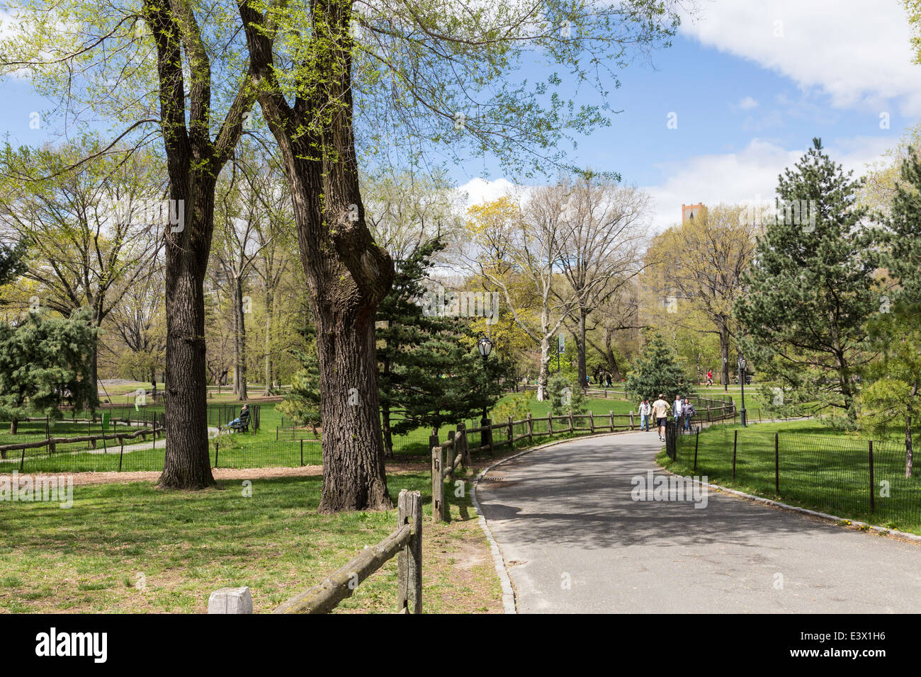 Breite Bürgersteig und Bäume, Central Park, New York, USA Stockfoto