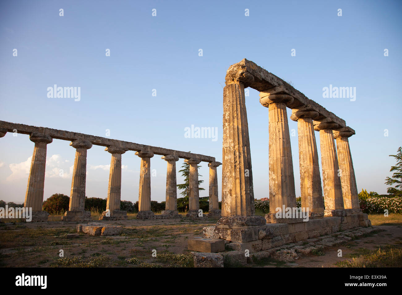 dorischer Tempel, Heiligtum der Hera, archäologische Stätte von Metaponto, Bernalda, Provinz von Matera, Basilikata, Italien, Europa Stockfoto