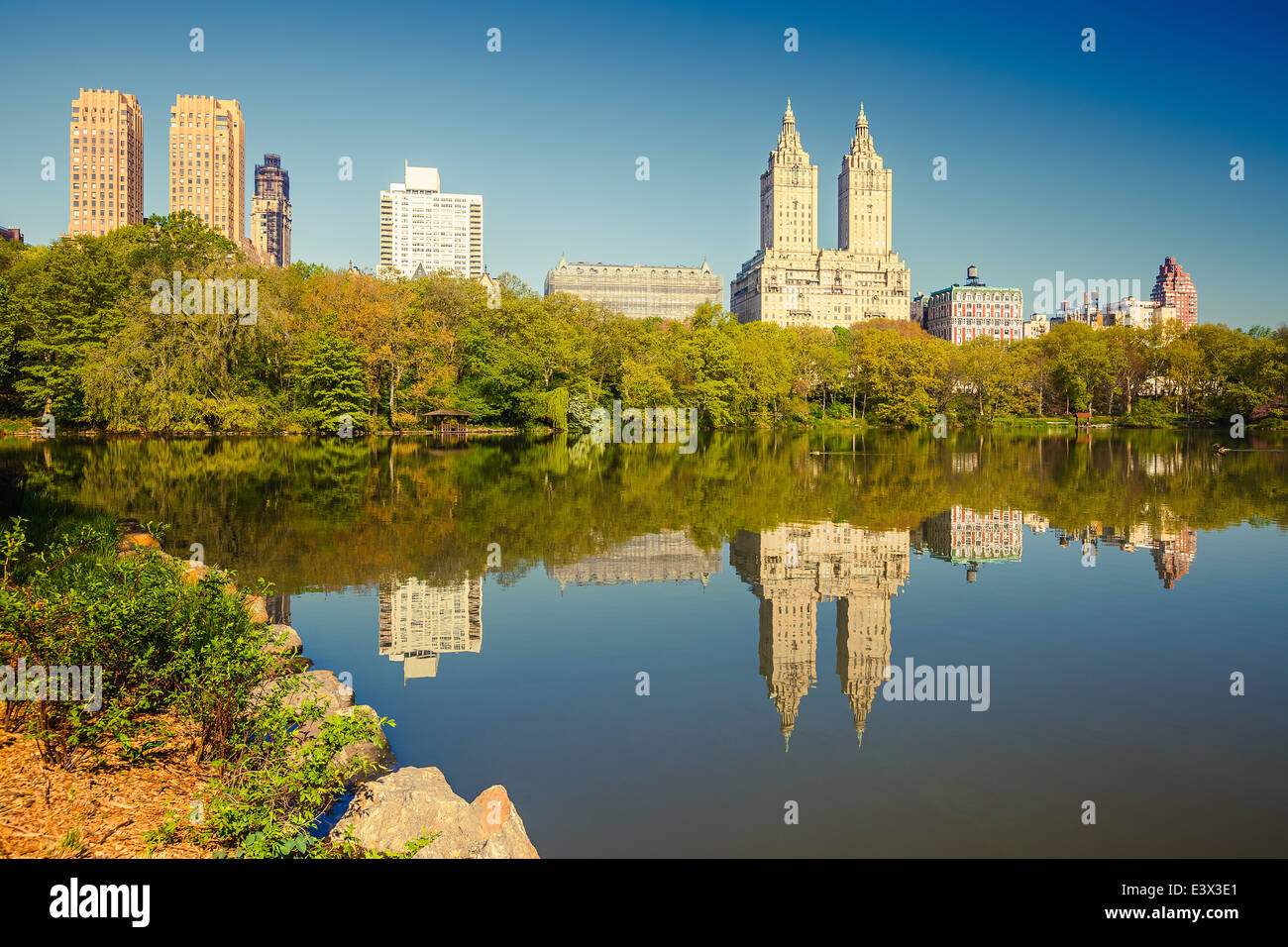 Central Park am sonnigen Tag Stockfoto