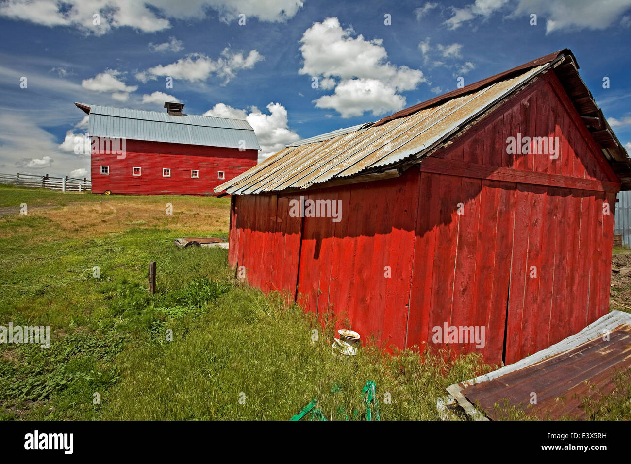 USA, Washington, Whitman County, Palouse, Scheune Stockfoto