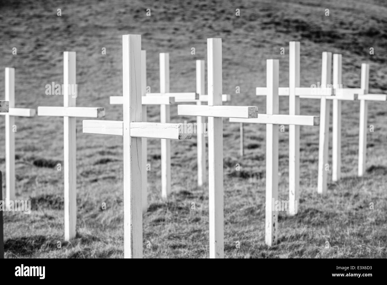 Holzkreuz auf Feld Stockfoto