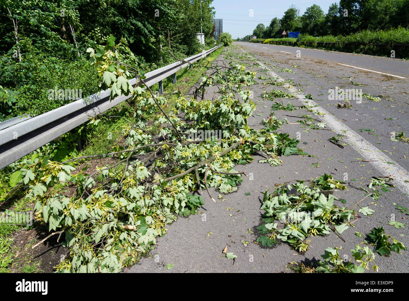 Heruntergefallene Äste lagen auf der Autobahn A43 in Herne, Ruhrgebiet, Westdeutschland, nach den schweren Sturmtief Ela Stockfoto