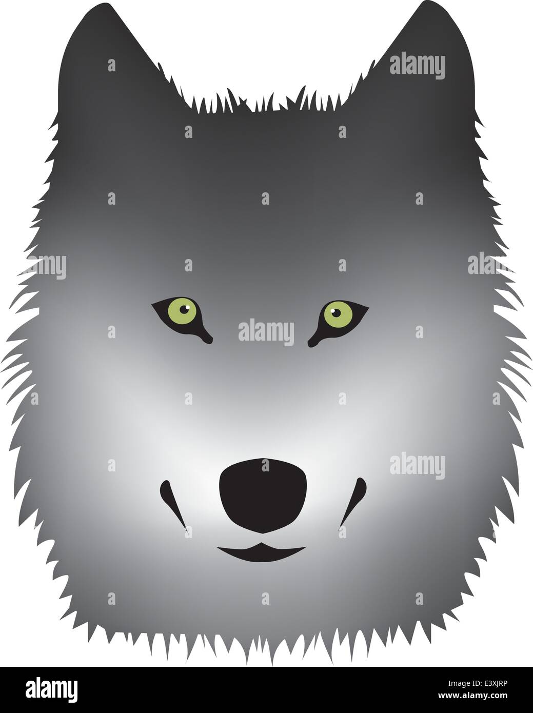 grauer Wolf mit grünen Augen Vektor auf weiß Stock Vektor