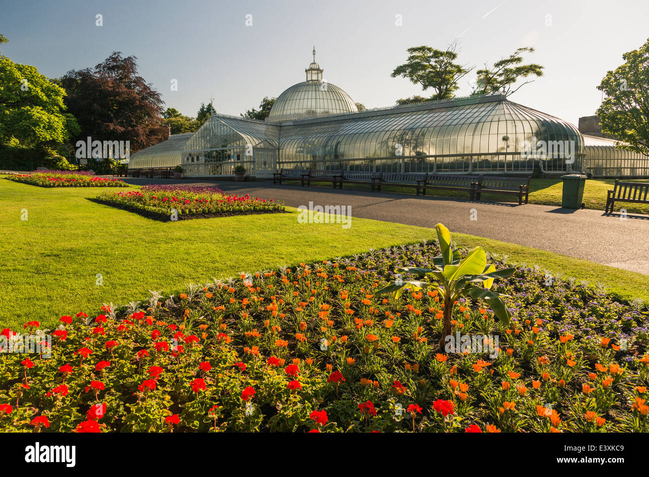 Kibble Palace, botanische Gärten, Glasgow, Schottland, UK Hintergrundbeleuchtung mit frühen Sommer Sonnenaufgang Stockfoto