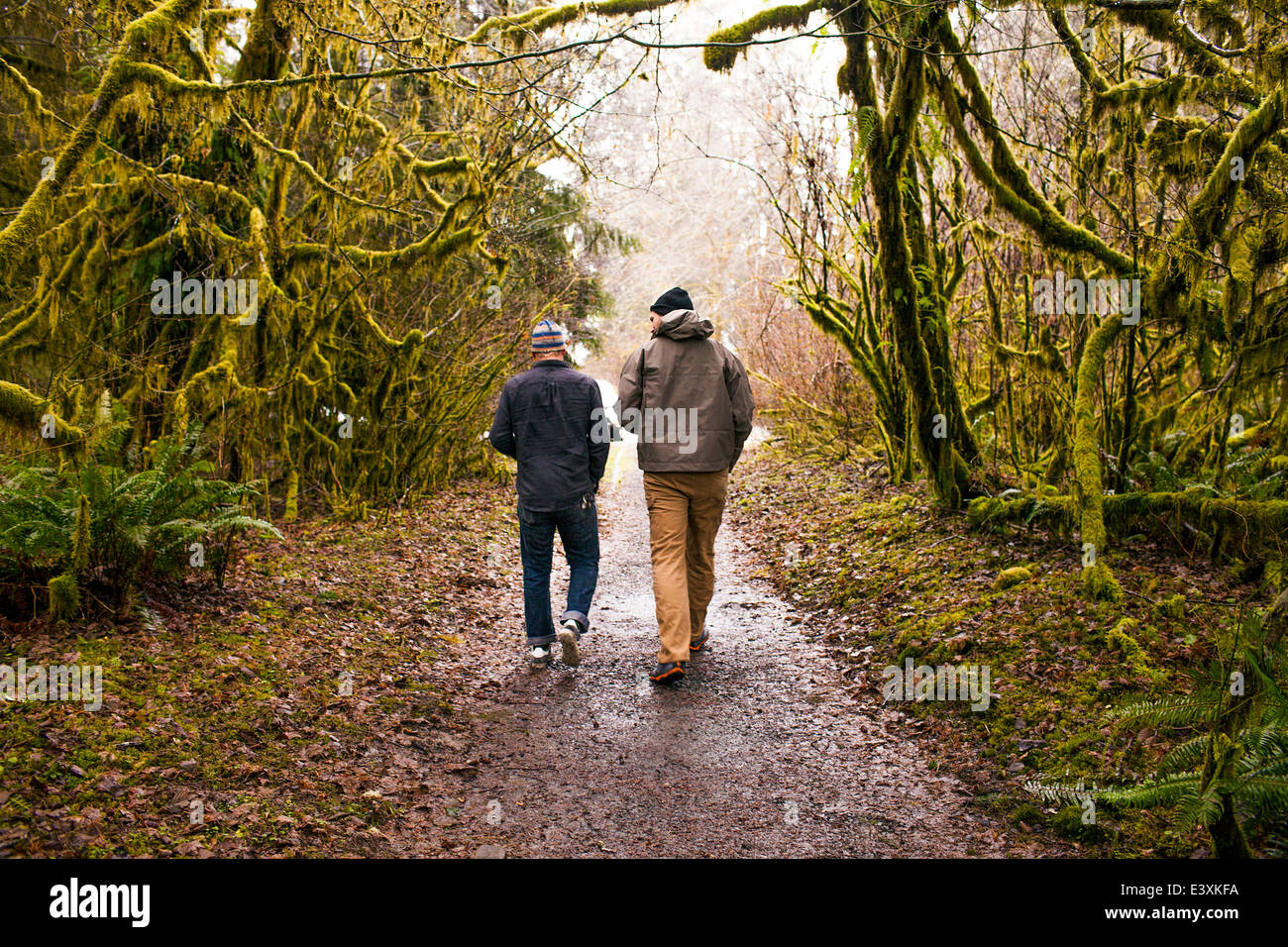 Männer, die zusammen im Wald spazieren Stockfoto