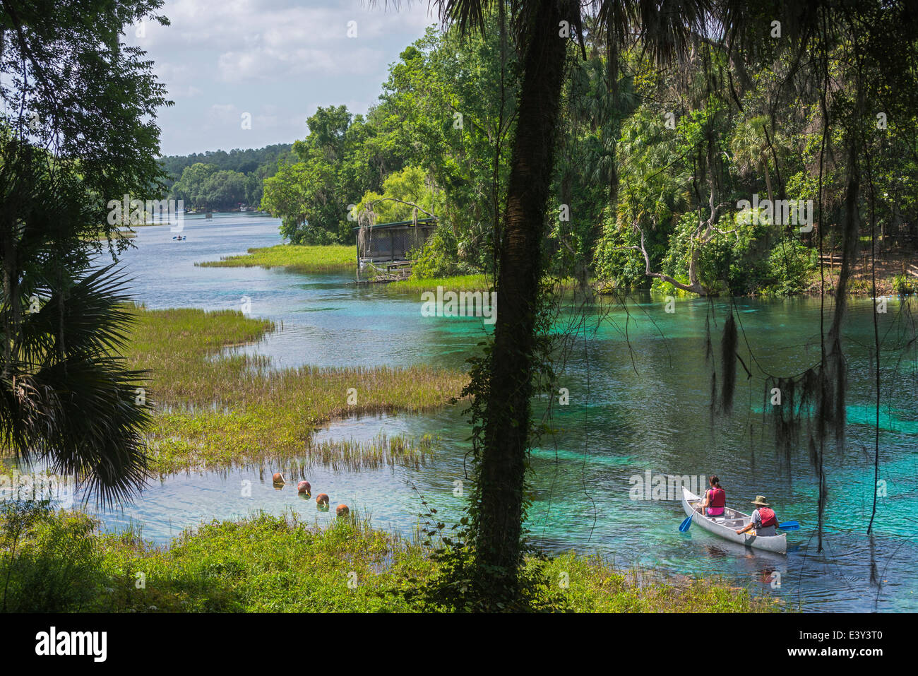 Rainbow Springs State Park ist die Quelle des Flusses Regenbogen in Nord-Zentral-Florida. Stockfoto