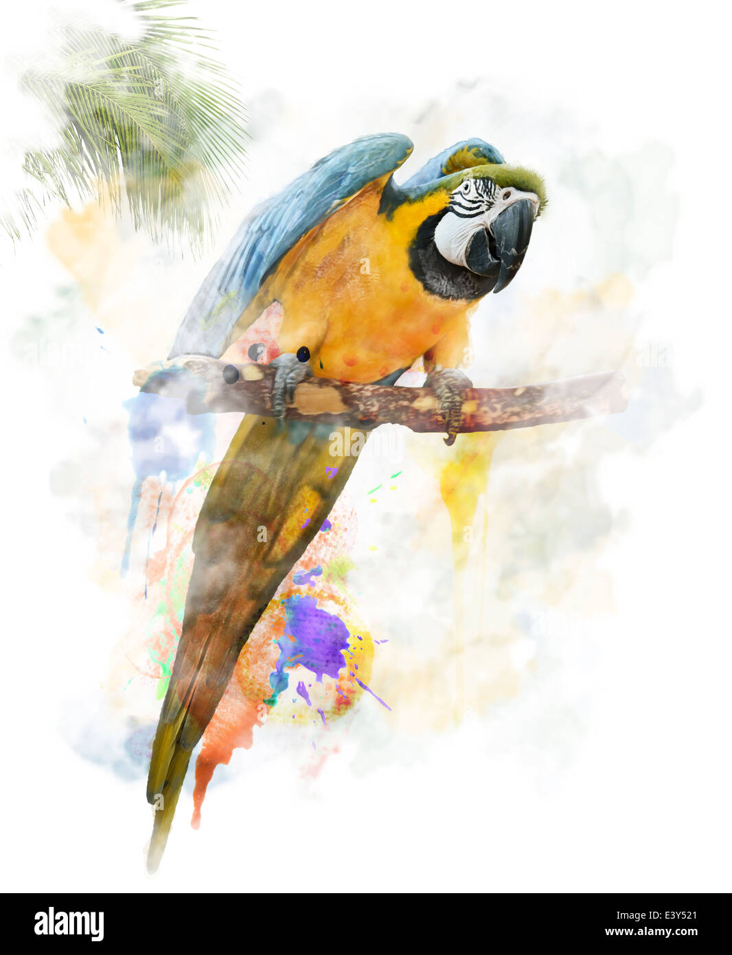 Digitales Aquarell der bunte Papagei Stockfoto