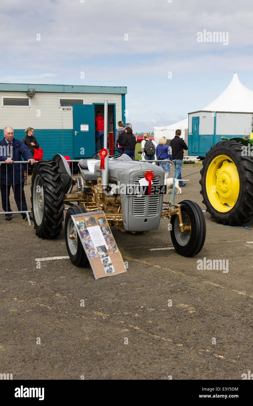 Preisgekrönte restauriert Oldtimer-Traktor Stockfoto