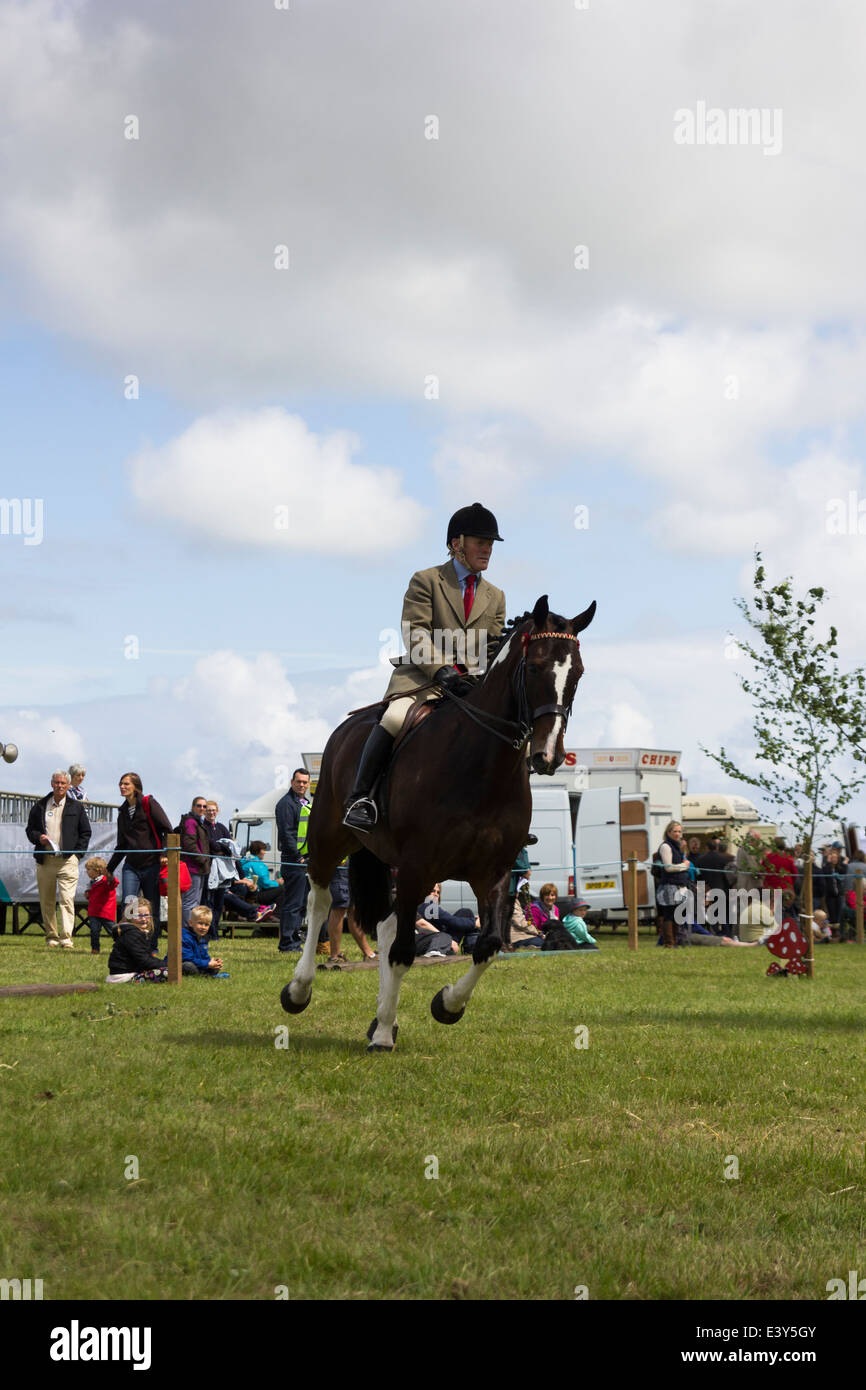 Springreiten auf 2014 Haddington Agricultural Show Stockfoto