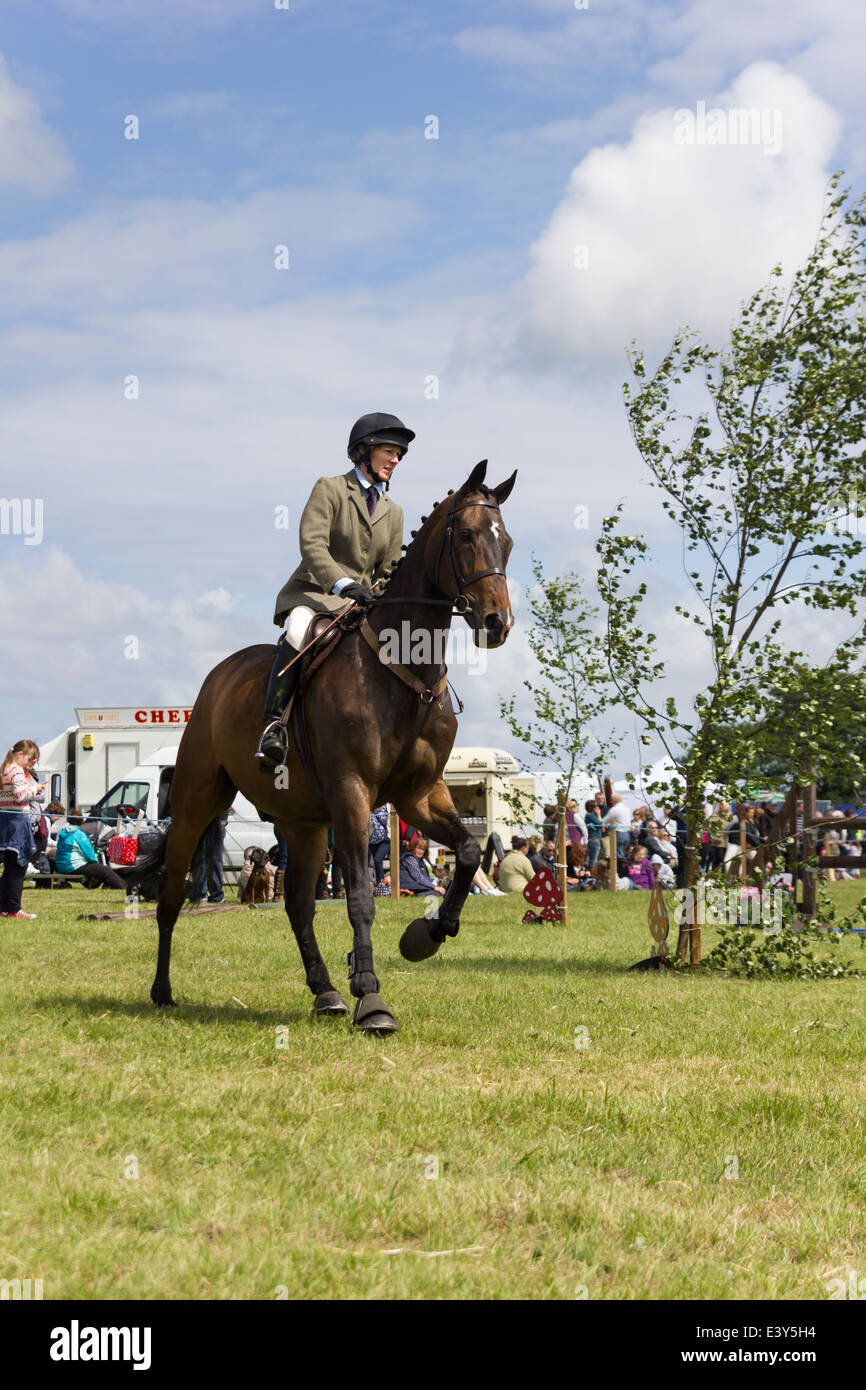 Springreiten auf 2014 Haddington Agricultural Show Stockfoto