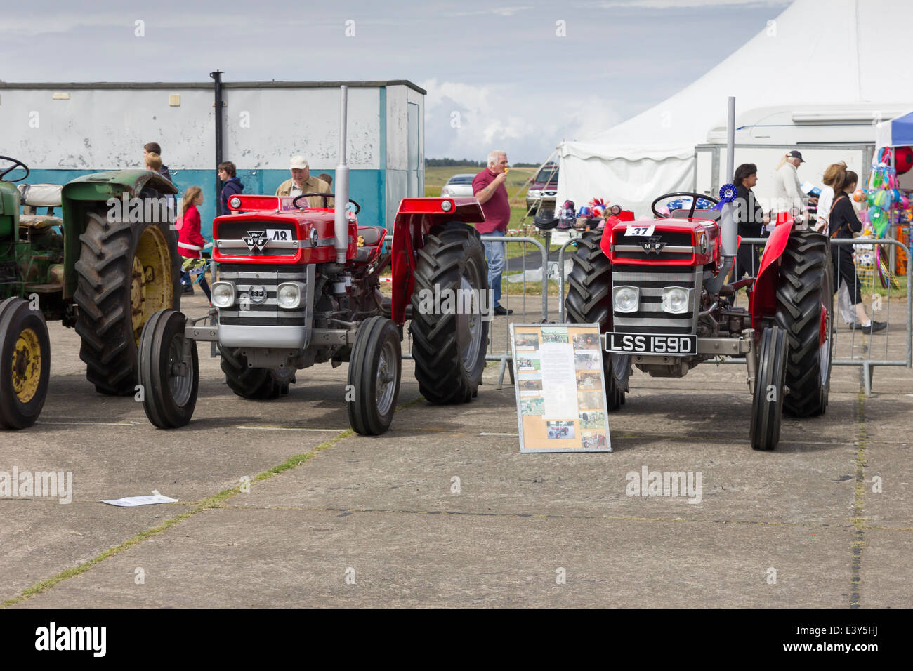 Oldtimer Massey Ferguson Traktoren Stockfoto