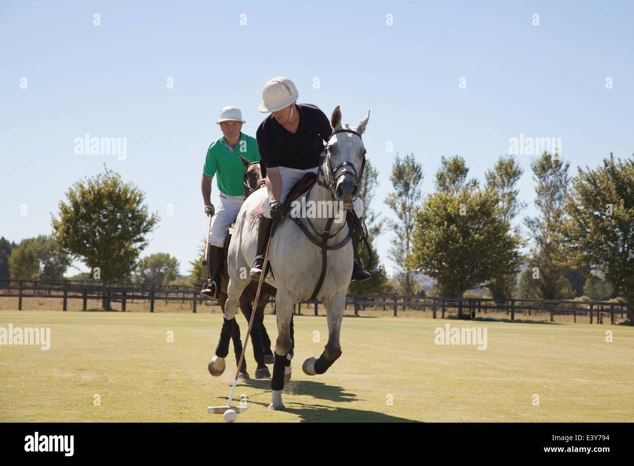 Zwei Erwachsene Männer, Polo zu spielen Stockfoto