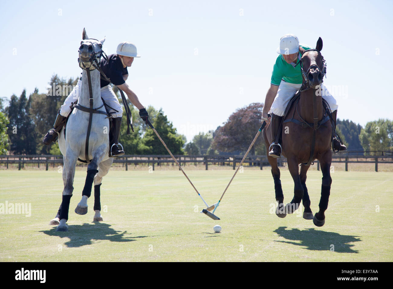 Zwei Erwachsene Männer, Polo zu spielen Stockfoto