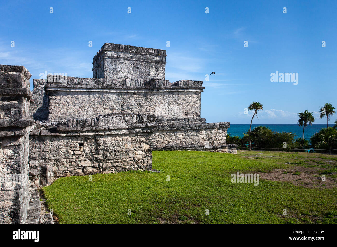 Ein Vogel fliegt in der Nähe von The Castle (El Castillo) an der Ausgrabungsstätte Tulum in Quintana Roo, Mexiko. Stockfoto