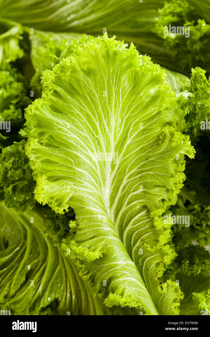 Organische Rohstoffe Senf auf einem Hintergrund Stockfoto