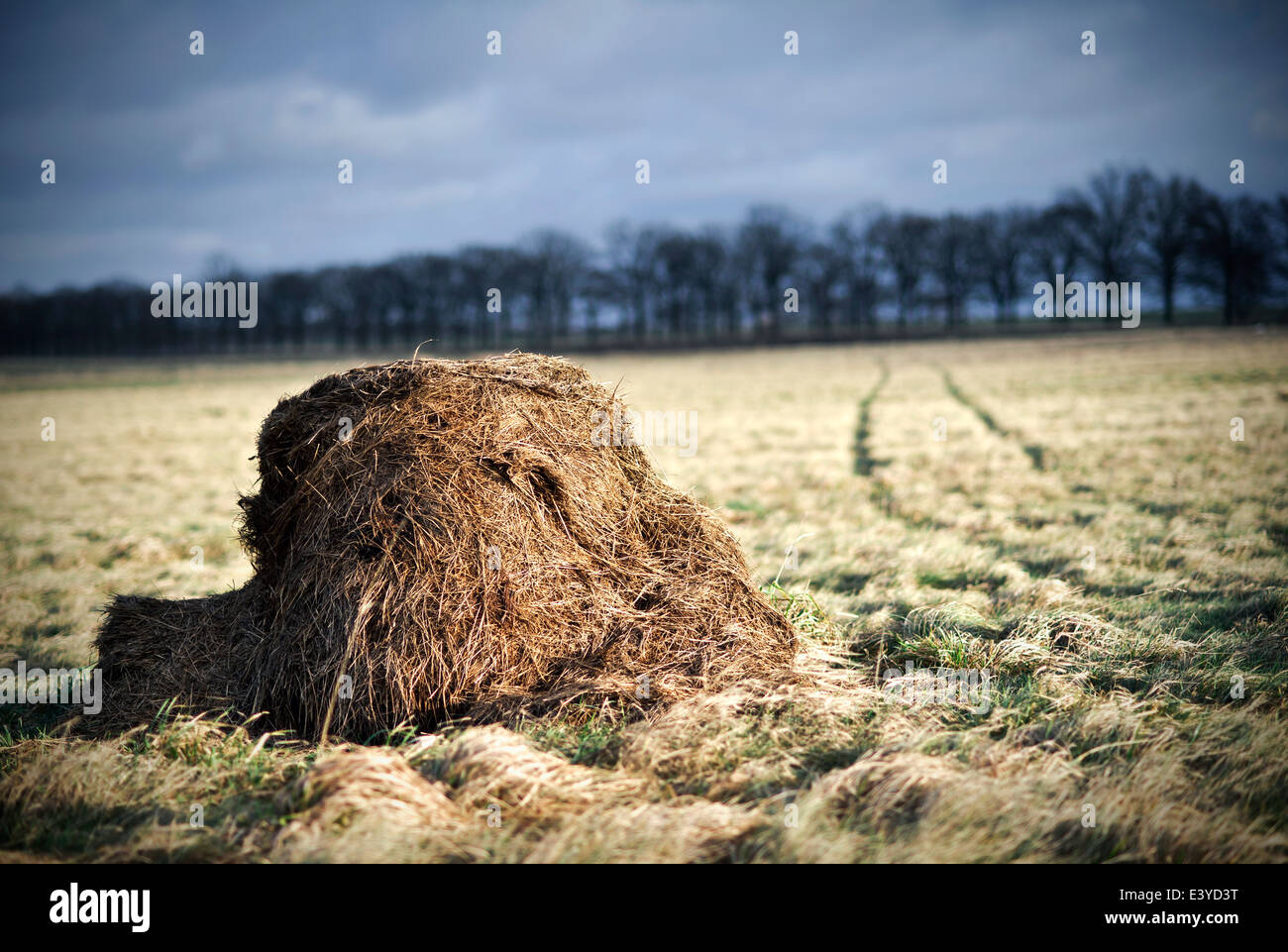 Haufen Heu Stockfoto