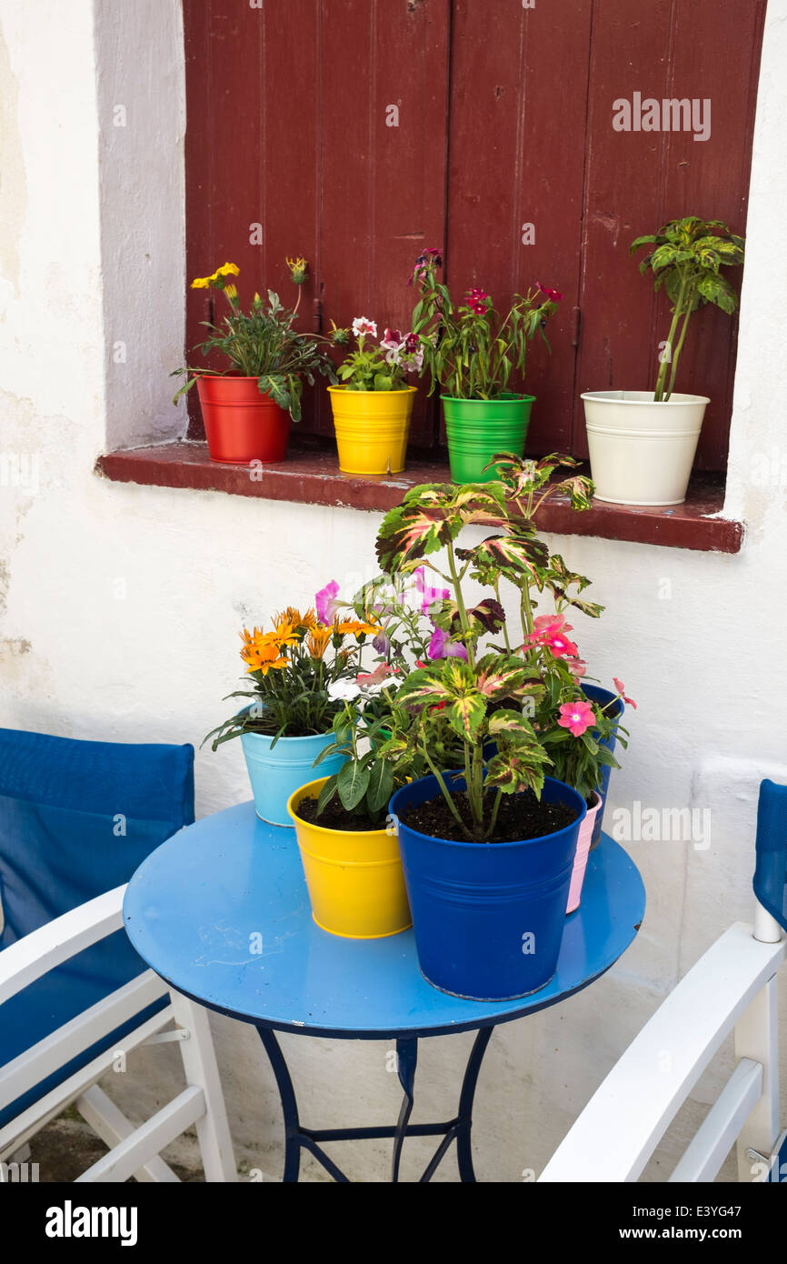 Bunte Blumentöpfe auf einem blauen Tisch, auf der griechischen Insel  Skopelos, Griechenland Stockfotografie - Alamy
