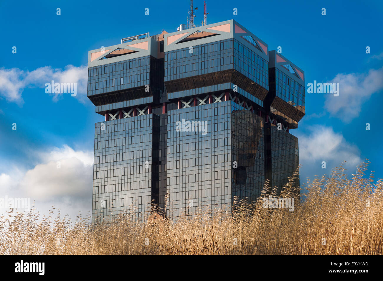 Amoreiras Gebäude auf die trockene vegetation Stockfoto