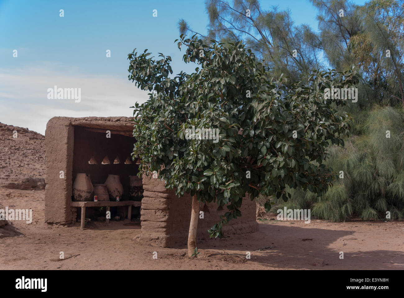 Zeer(s) in Mazeera, Karima, Nord-Sudan Stockfoto