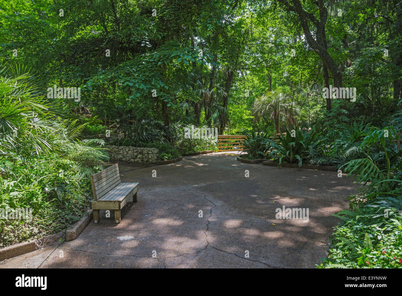 Rainbow Springs State Park ist die Quelle des Flusses Regenbogen in Nord-Zentral-Florida. Stockfoto