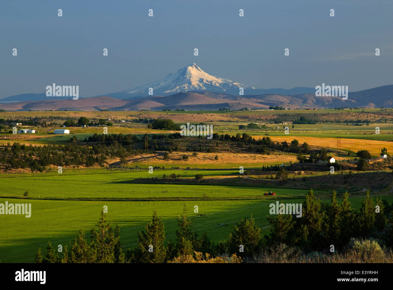 Blick auf Mt. Dunstabzugshaube aus Madras, Oregon USA Stockfoto