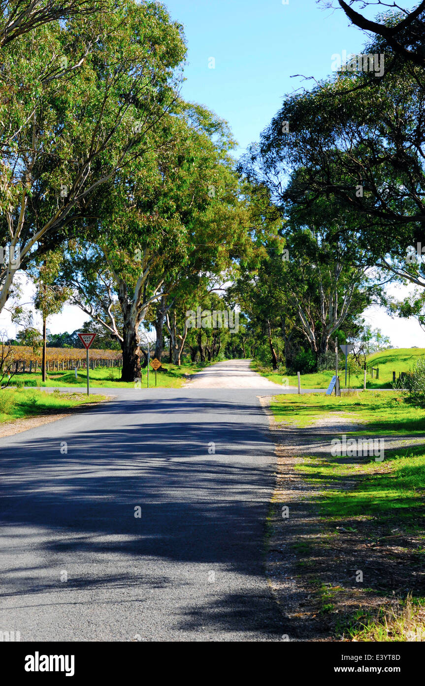 Australische gebürtige Buschland Landschaft, Blick von einer kurvenreichen Straße. Stockfoto