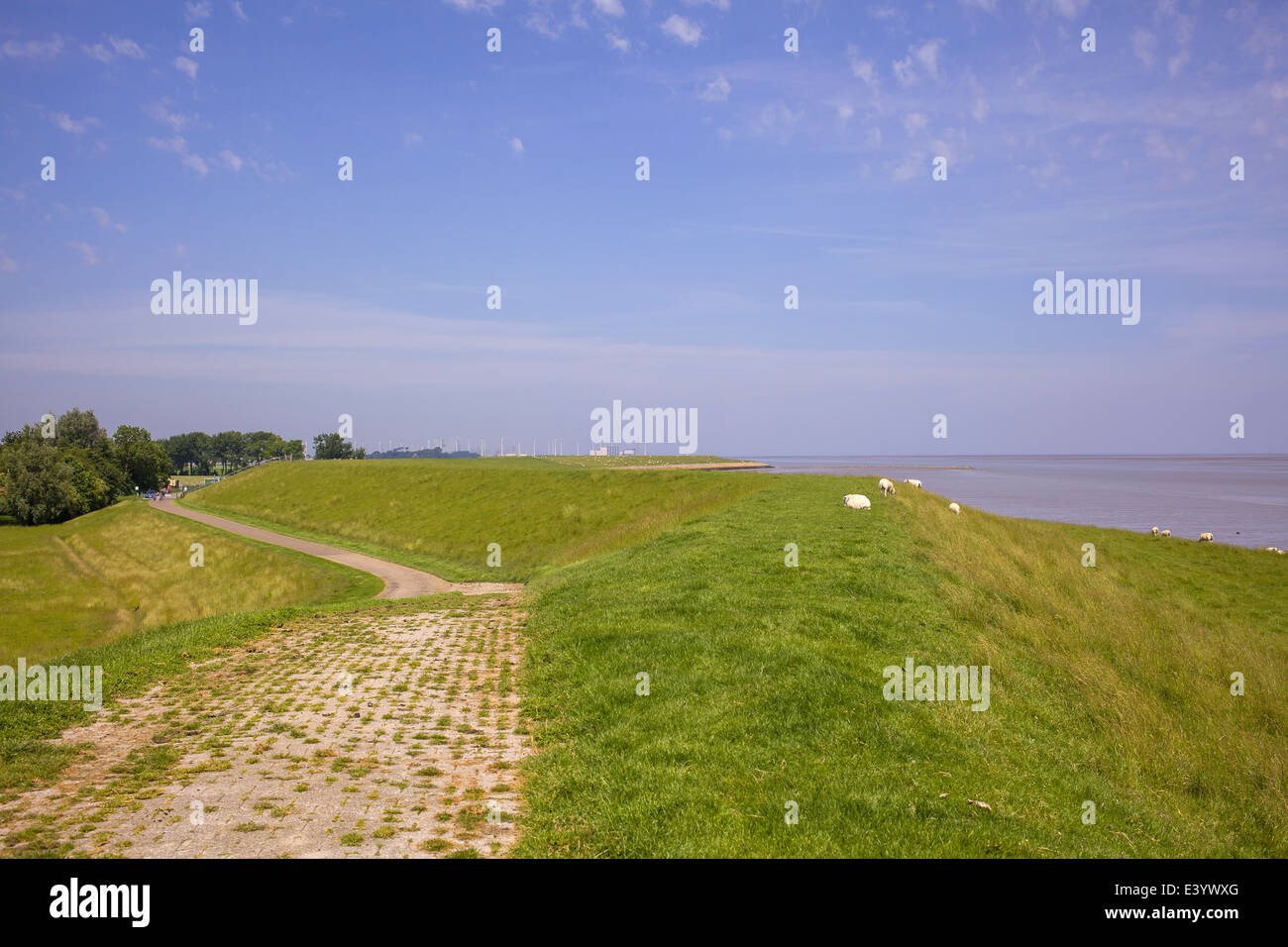 Niederländische weite Landschaft mit Deich und blauer Himmel Stockfoto