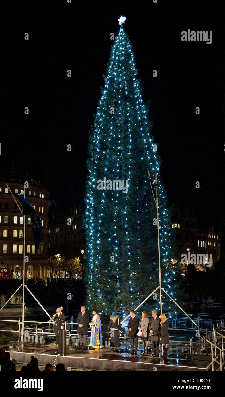 Der Baum leuchtet während der Beleuchtung-Up Zeremonie von Oslo Weihnachtsbaum auf dem Trafalgar Square.  Mitwirkende: Weihnachtsbaum wo: London, Vereinigtes Königreich bei: 5. Dezember 2013 Stockfoto